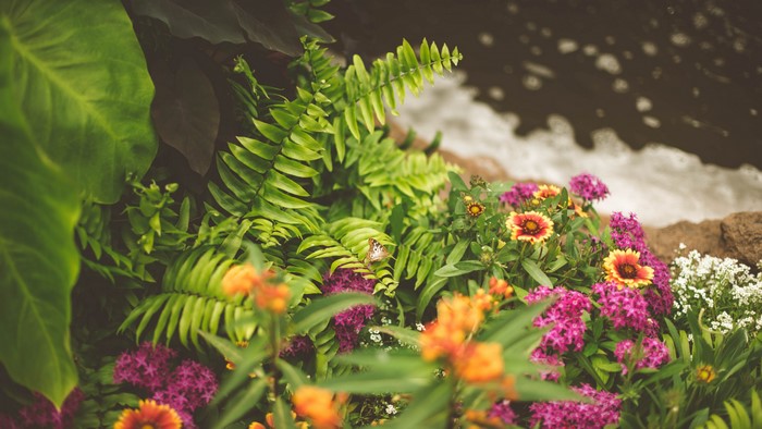 Greenery and flowers by water