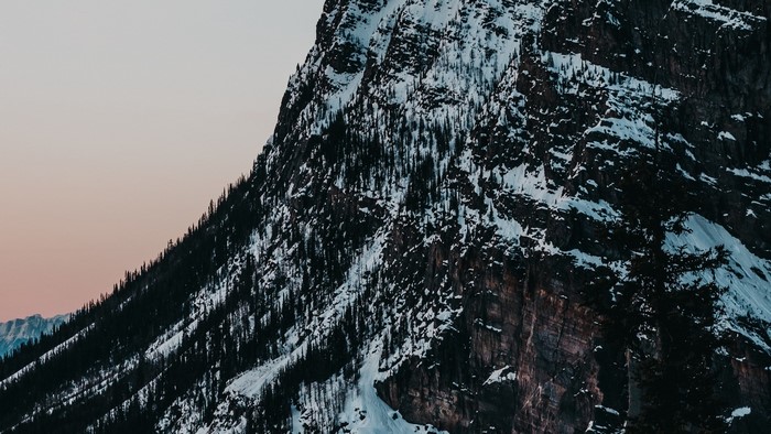 Snowy mountain slope with pine trees