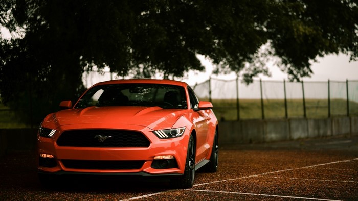 Orange Ford Mustang parked under a tree