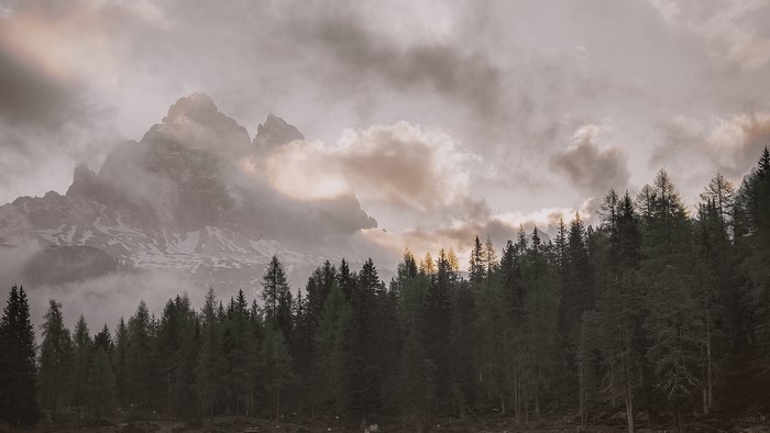 Misty mountains and pine forest at sunset