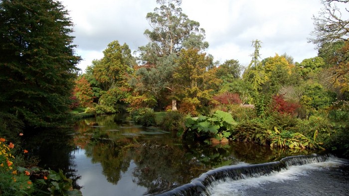 Autumnal park with a river and waterfall