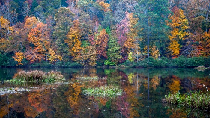 Autumn forest reflected in a calm lake