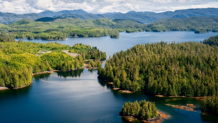 Aerial view of forested islands in Alaska, USA