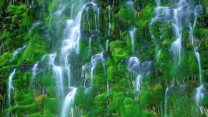 Green mossy waterfall cascading down rocks