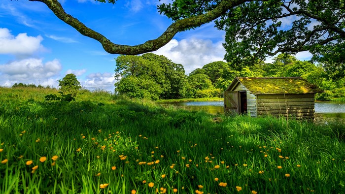 Wooden house on the shore of a lake