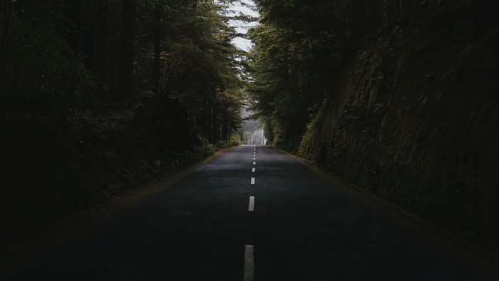 A dark asphalt road through a dense forest