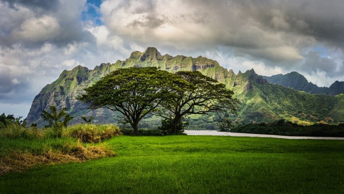 Hawaii National Park landscape with mountains and trees