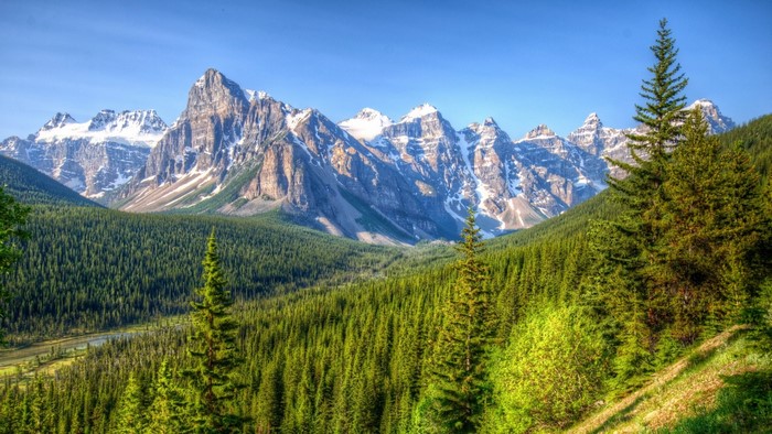 Snow-capped mountains and evergreen forest in Canada