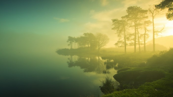 Misty lake with trees and reflections