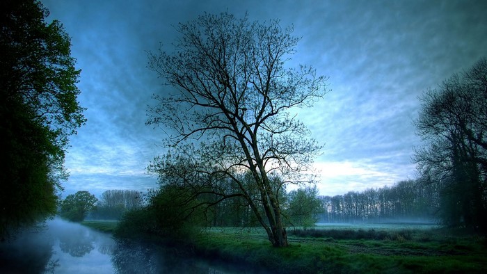 Misty river and trees under a cloudy sky