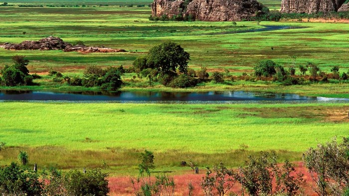 Vast green savanna with river and rock formations