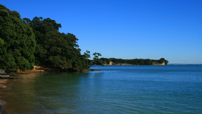 Coastline with trees and blue sky