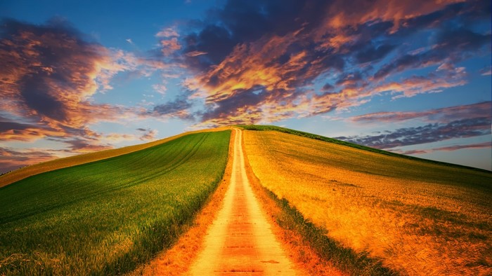 Country road through green and golden fields under a dramatic sky