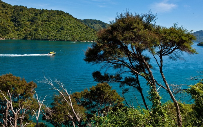 Boat on a blue bay with forested hills