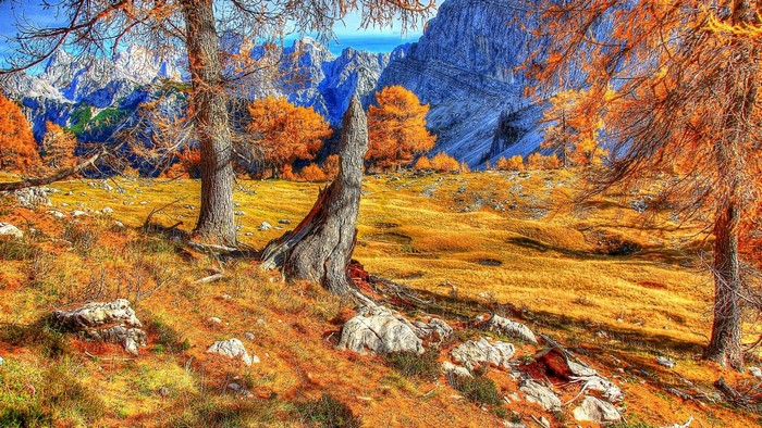 Autumn mountains with trees and rocks