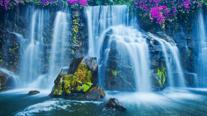 Waterfall with purple flowers and mossy rocks