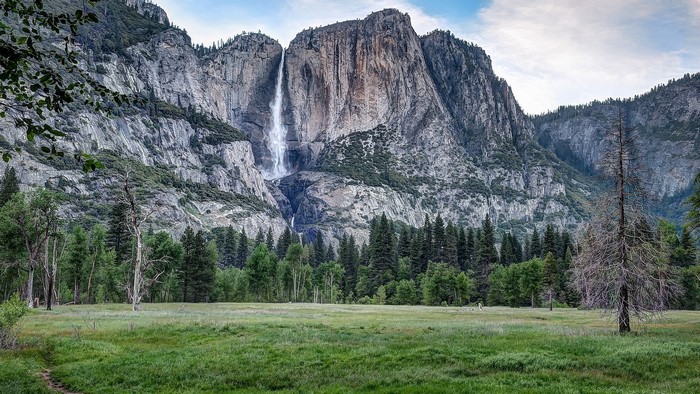 Yosemite Valley with Waterfall and Forest