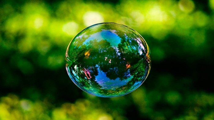 Bubble reflecting trees and sky