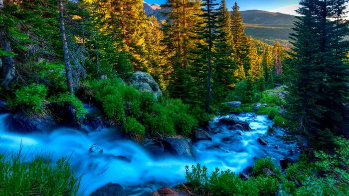 Mountain river flowing through a forest