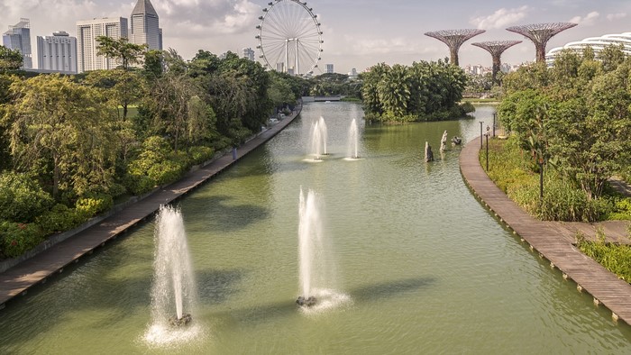 Gardens by the Bay, Singapore with Ferris Wheel
