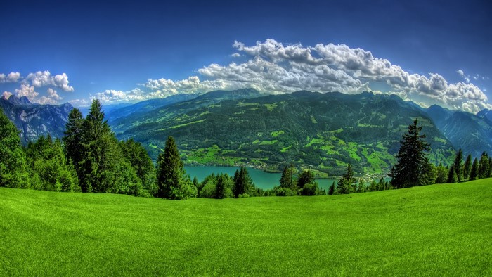 Green Meadow Overlooking Mountains and Lake