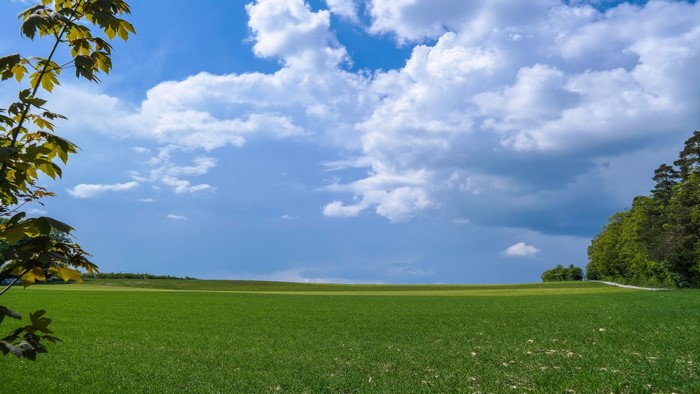 Green field under a cloudy blue sky