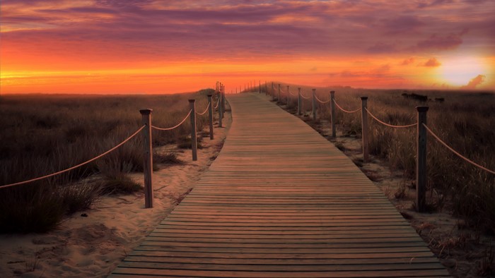 Wooden boardwalk through dunes at sunset