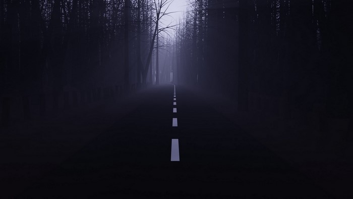 Dark forest road with white dashed line