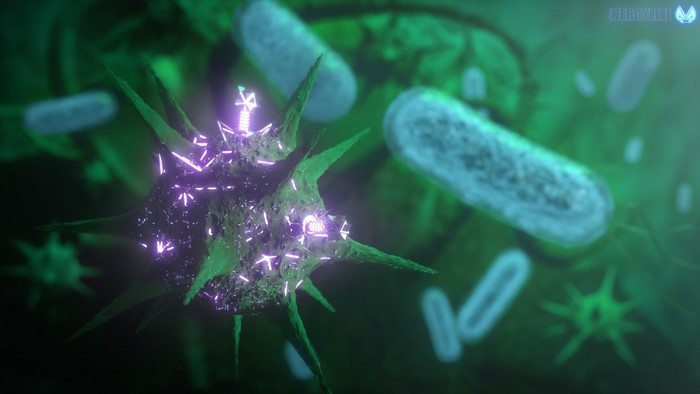 Virus and bacteria in microscopic view