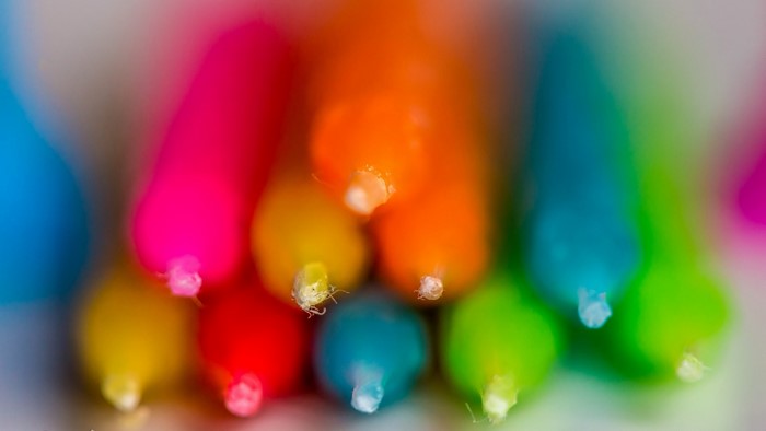 Macro shot of colorful birthday candles