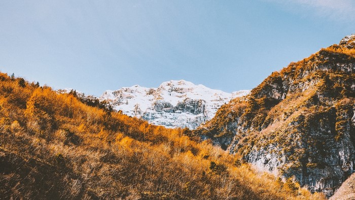 Snow-capped mountains with autumn trees