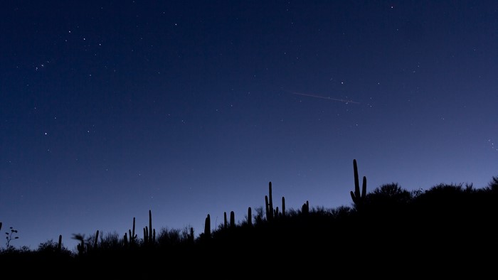Starry night sky over desert landscape with saguaro cacti