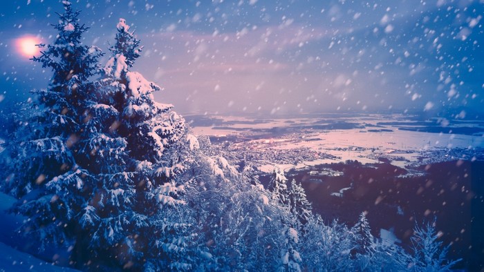 Snowy trees overlooking a town at dusk