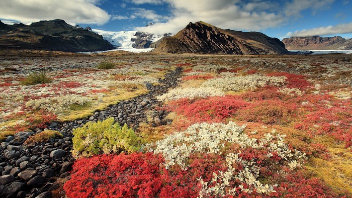 Autumnal tundra with glacier and mountains