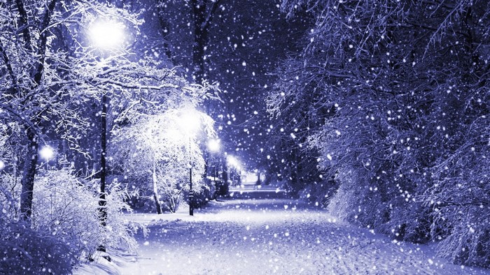 Snowy park path with streetlights at night