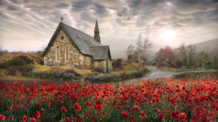 Stone church in a field of poppies with dramatic clouds