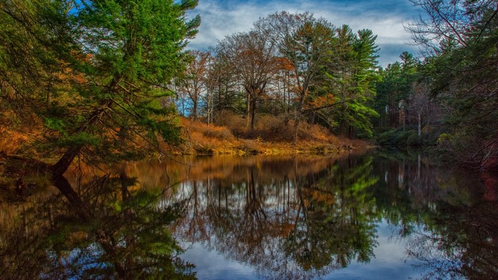 Autumn forest reflected in a calm river