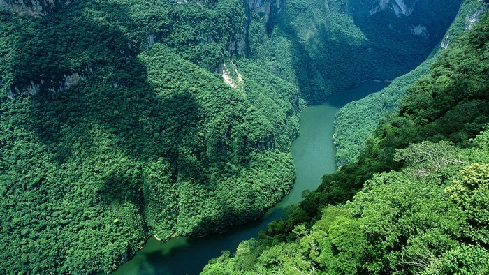 Aerial view of Sumidero Canyon, Chiapas, Mexico