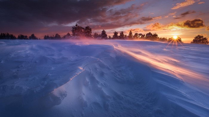 Snowdrifts at sunset with pine trees