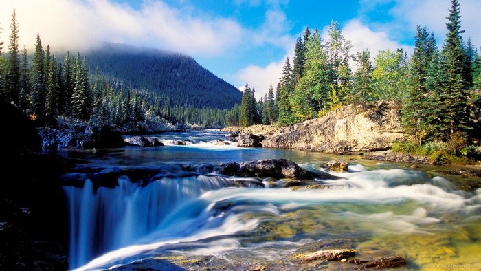 Mountain river with waterfall and pine forest