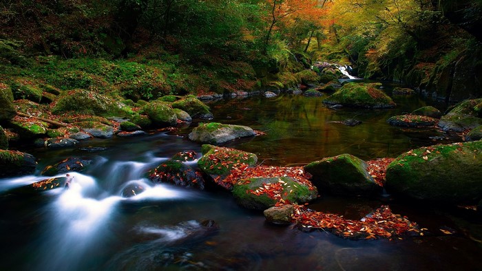 Autumn forest stream with mossy rocks
