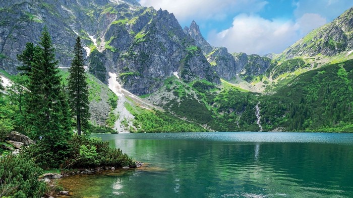 Green mountain lake with pine trees
