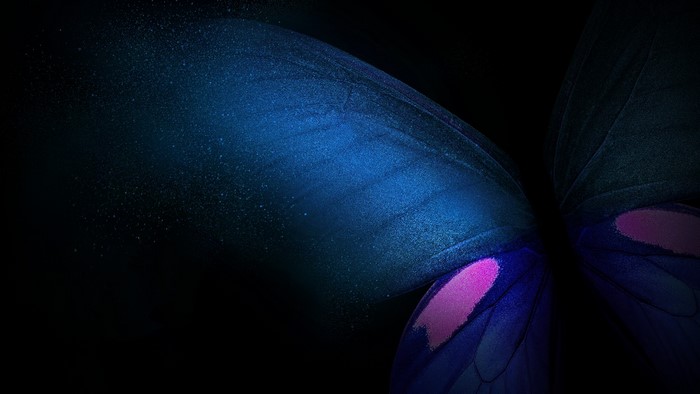 Abstract Blue and Pink Butterfly Wings