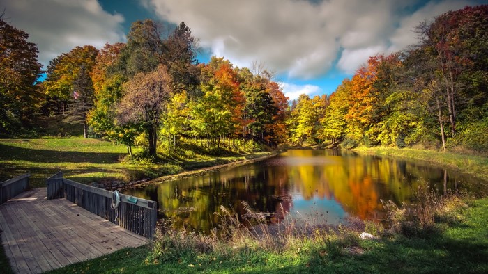 Autumn trees reflecting in a lake with a wooden dock