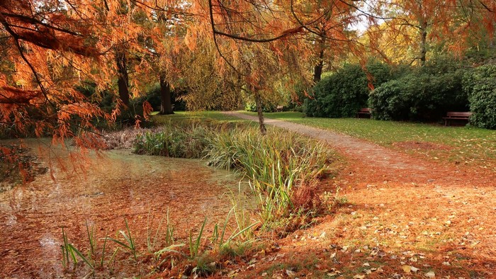 Autumn park with pond and pathway