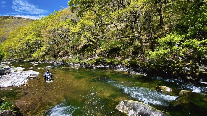 Man fly fishing in a river in Exmoor National Park