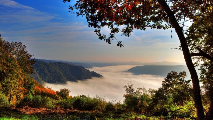 Misty valley in autumn forest at sunrise