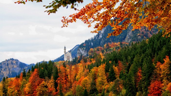 Castle on a mountain with autumn foliage