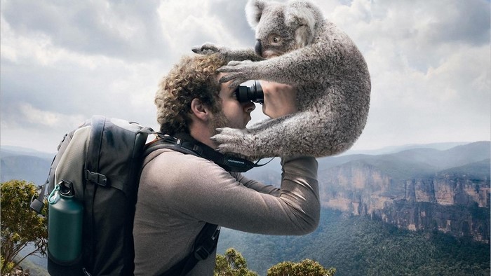 Man with Koala looking through binoculars