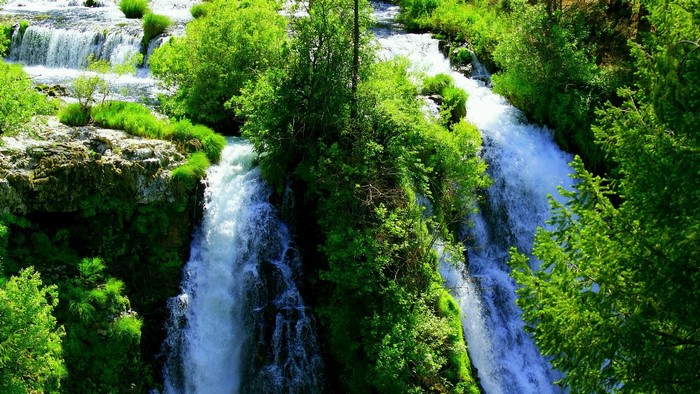 Waterfalls cascading through lush green vegetation